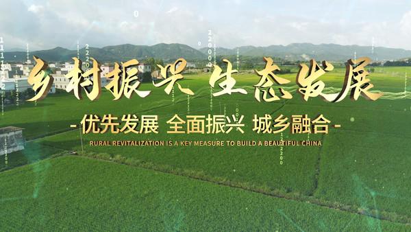 乡村全面振兴扎实推进（年中经济观察）